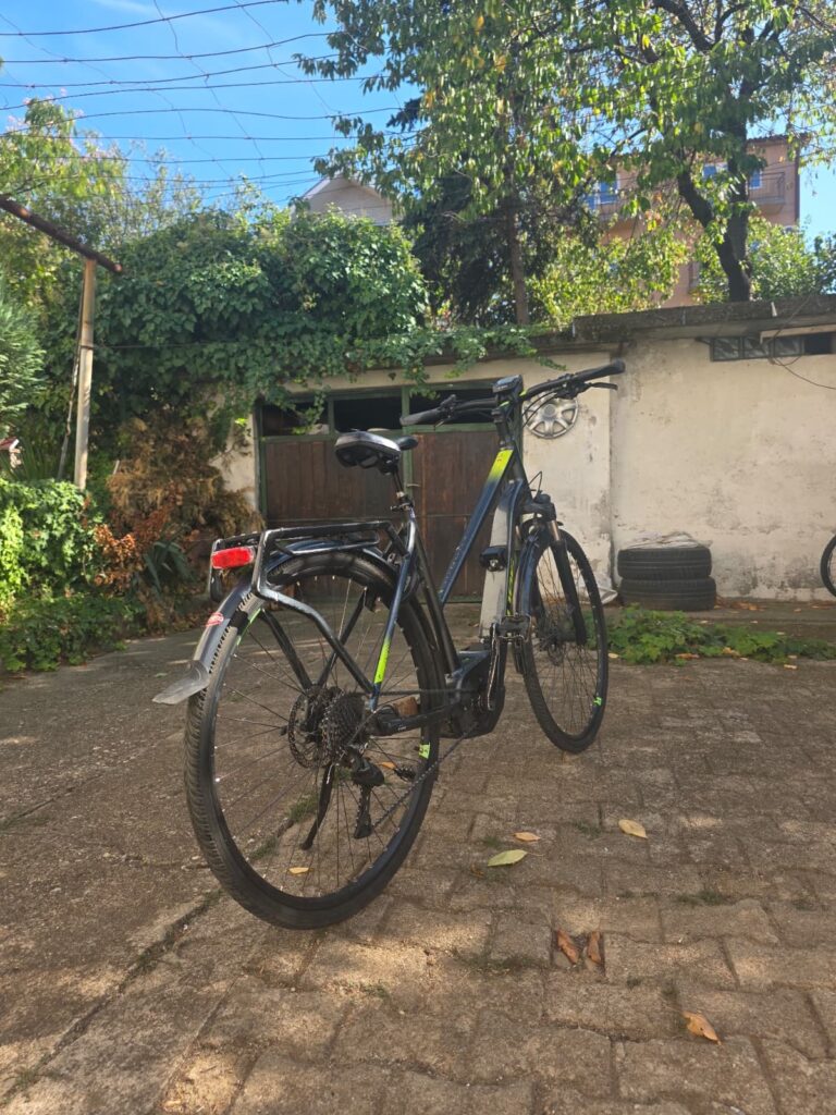 d501b1f7 8774 4956 9216 ace47572edd9 768x1024