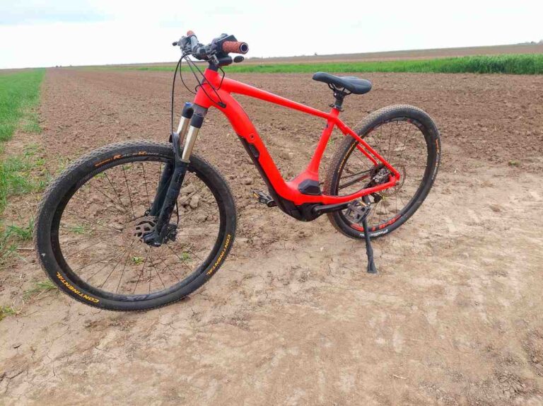 inbound8708243010311557706 768x574